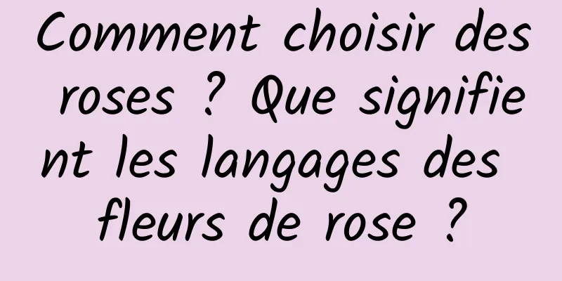 Comment choisir des roses ? Que signifient les langages des fleurs de rose ?