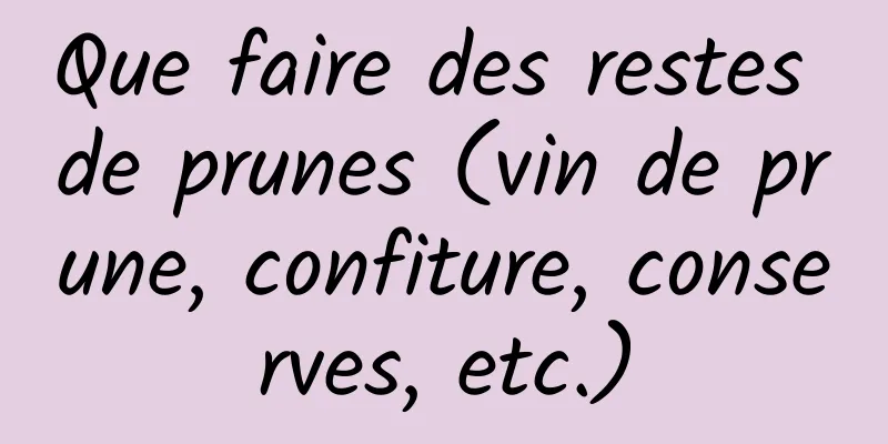 Que faire des restes de prunes (vin de prune, confiture, conserves, etc.)