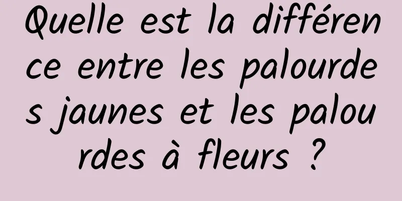 Quelle est la différence entre les palourdes jaunes et les palourdes à fleurs ?