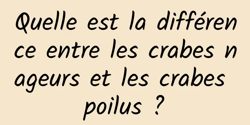 Quelle est la différence entre les crabes nageurs et les crabes poilus ?