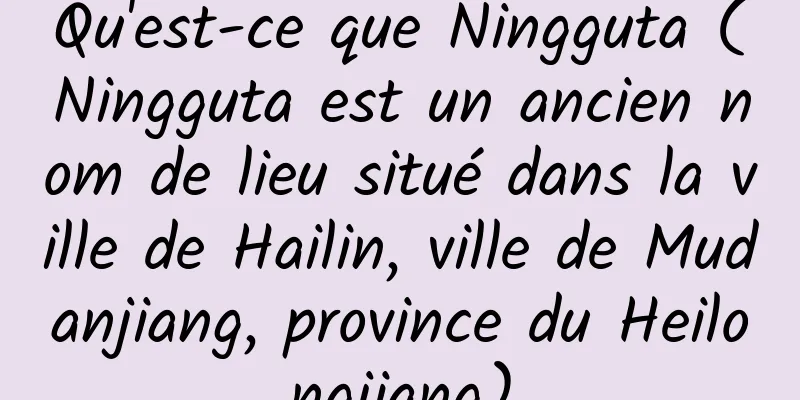 Qu'est-ce que Ningguta (Ningguta est un ancien nom de lieu situé dans la ville de Hailin, ville de Mudanjiang, province du Heilongjiang)