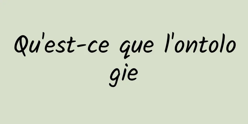 Qu'est-ce que l'ontologie