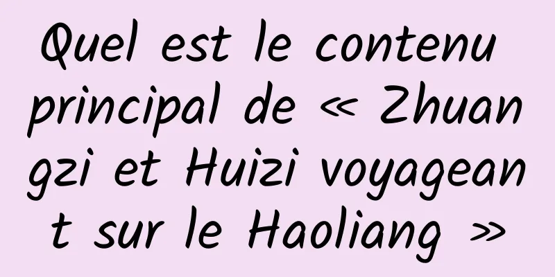 Quel est le contenu principal de « Zhuangzi et Huizi voyageant sur le Haoliang »