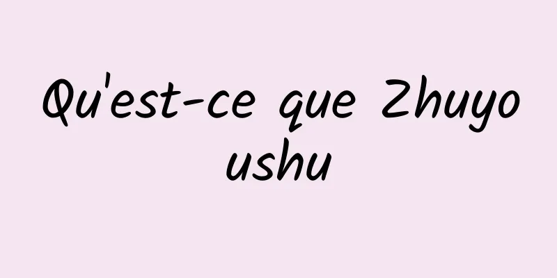 Qu'est-ce que Zhuyoushu