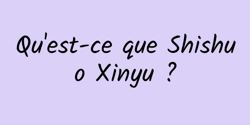 Qu'est-ce que Shishuo Xinyu ?