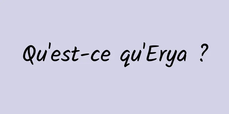 Qu'est-ce qu'Erya ?