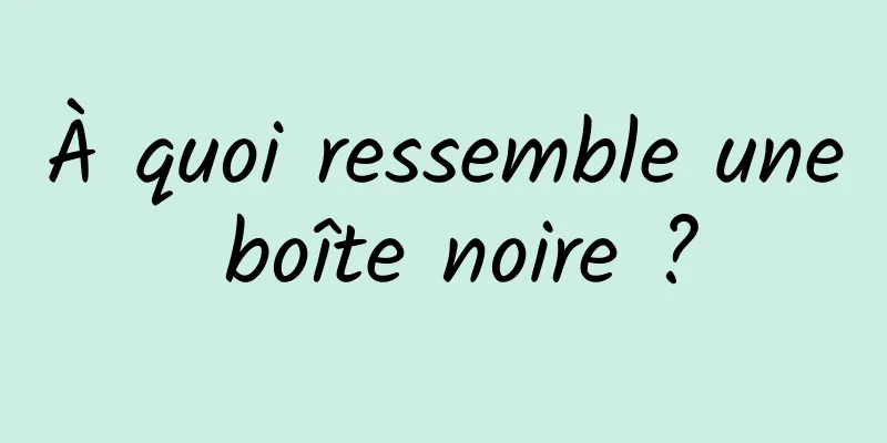 À quoi ressemble une boîte noire ?