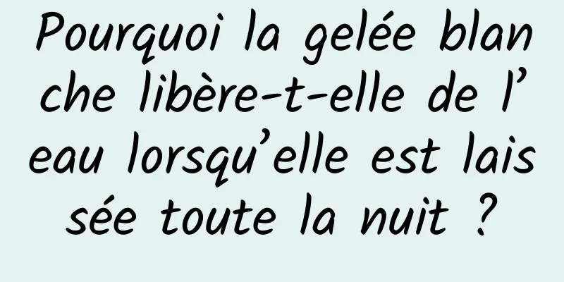 Pourquoi la gelée blanche libère-t-elle de l’eau lorsqu’elle est laissée toute la nuit ?