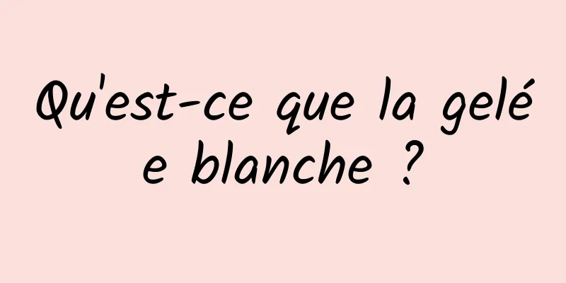 Qu'est-ce que la gelée blanche ?