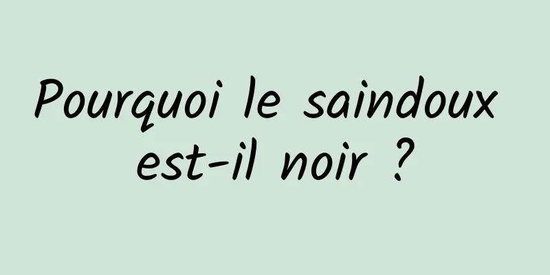Pourquoi le saindoux est-il noir ?