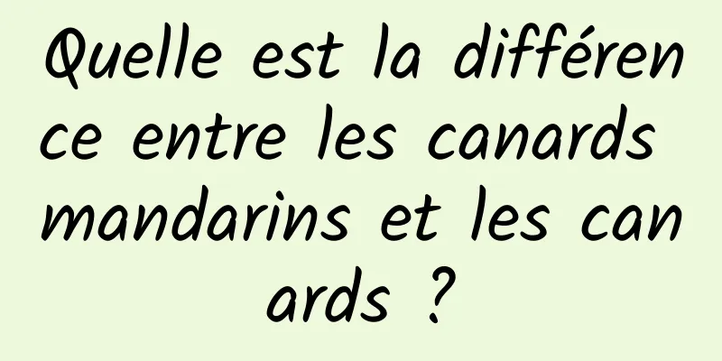 Quelle est la différence entre les canards mandarins et les canards ?