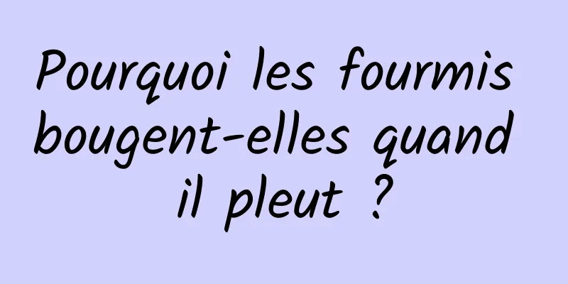 Pourquoi les fourmis bougent-elles quand il pleut ?