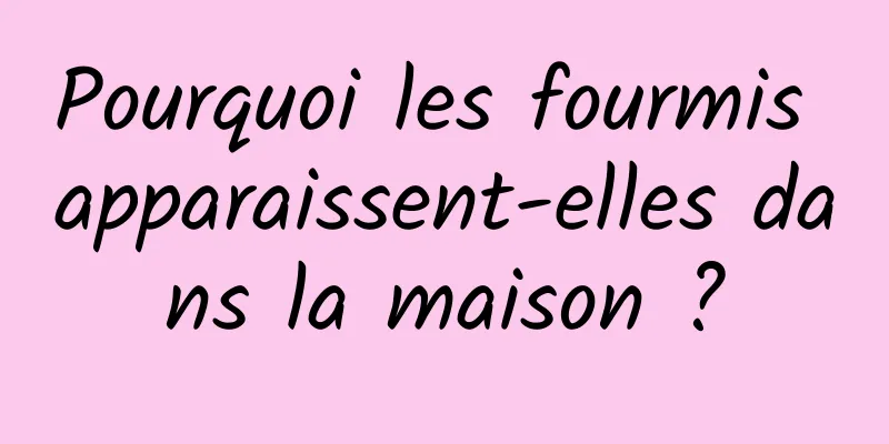 Pourquoi les fourmis apparaissent-elles dans la maison ?