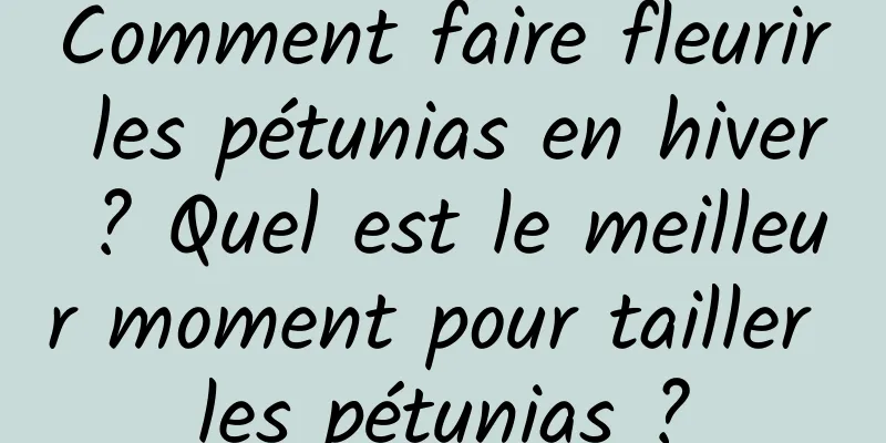Comment faire fleurir les pétunias en hiver ? Quel est le meilleur moment pour tailler les pétunias ?