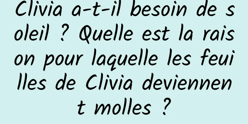 Clivia a-t-il besoin de soleil ? Quelle est la raison pour laquelle les feuilles de Clivia deviennent molles ?
