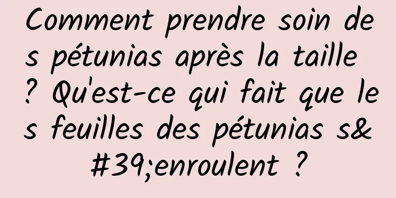 Comment prendre soin des pétunias après la taille ? Qu'est-ce qui fait que les feuilles des pétunias s'enroulent ?