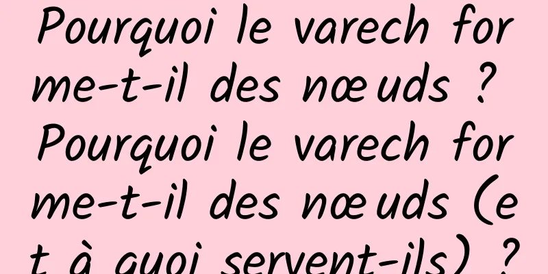 Pourquoi le varech forme-t-il des nœuds ? Pourquoi le varech forme-t-il des nœuds (et à quoi servent-ils) ?
