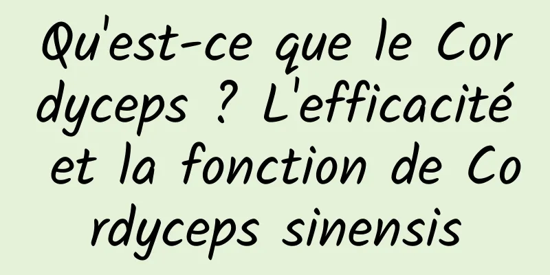 Qu'est-ce que le Cordyceps ? L'efficacité et la fonction de Cordyceps sinensis