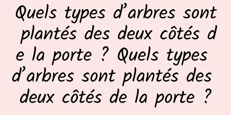 Quels types d’arbres sont plantés des deux côtés de la porte ? Quels types d’arbres sont plantés des deux côtés de la porte ?