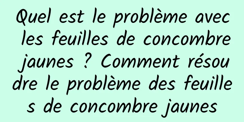 Quel est le problème avec les feuilles de concombre jaunes ? Comment résoudre le problème des feuilles de concombre jaunes
