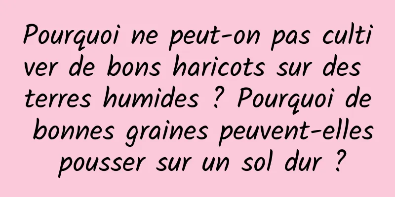 Pourquoi ne peut-on pas cultiver de bons haricots sur des terres humides ? Pourquoi de bonnes graines peuvent-elles pousser sur un sol dur ?