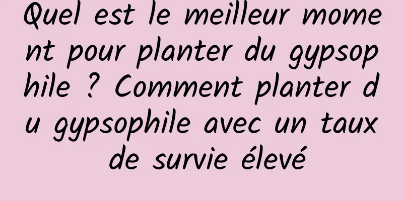 Quel est le meilleur moment pour planter du gypsophile ? Comment planter du gypsophile avec un taux de survie élevé