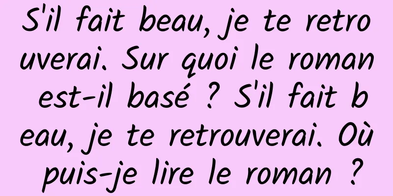 S'il fait beau, je te retrouverai. Sur quoi le roman est-il basé ? S'il fait beau, je te retrouverai. Où puis-je lire le roman ?