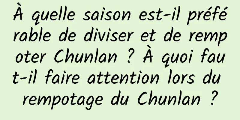 À quelle saison est-il préférable de diviser et de rempoter Chunlan ? À quoi faut-il faire attention lors du rempotage du Chunlan ?