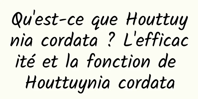 Qu'est-ce que Houttuynia cordata ? L'efficacité et la fonction de Houttuynia cordata