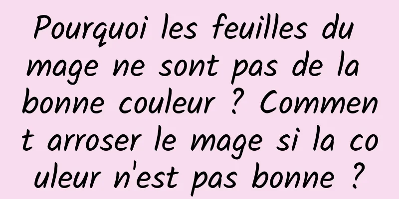 Pourquoi les feuilles du mage ne sont pas de la bonne couleur ? Comment arroser le mage si la couleur n'est pas bonne ?