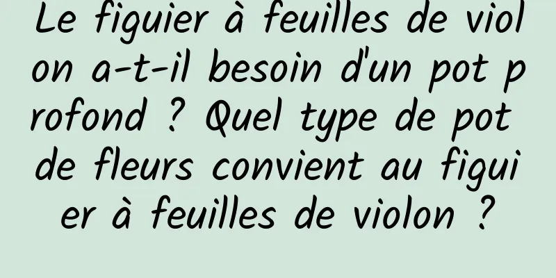 Le figuier à feuilles de violon a-t-il besoin d'un pot profond ? Quel type de pot de fleurs convient au figuier à feuilles de violon ?