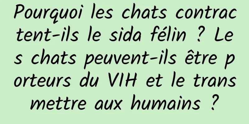 Pourquoi les chats contractent-ils le sida félin ? Les chats peuvent-ils être porteurs du VIH et le transmettre aux humains ?
