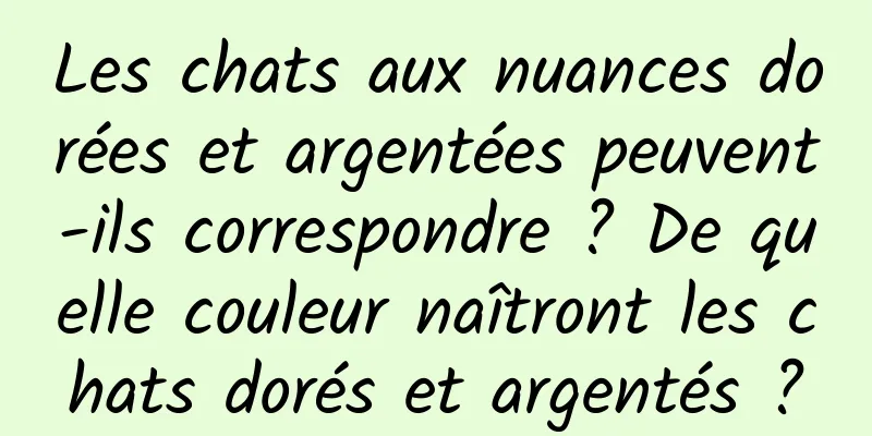 Les chats aux nuances dorées et argentées peuvent-ils correspondre ? De quelle couleur naîtront les chats dorés et argentés ?