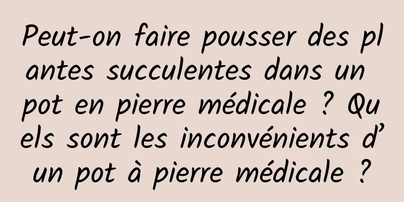 Peut-on faire pousser des plantes succulentes dans un pot en pierre médicale ? Quels sont les inconvénients d’un pot à pierre médicale ?