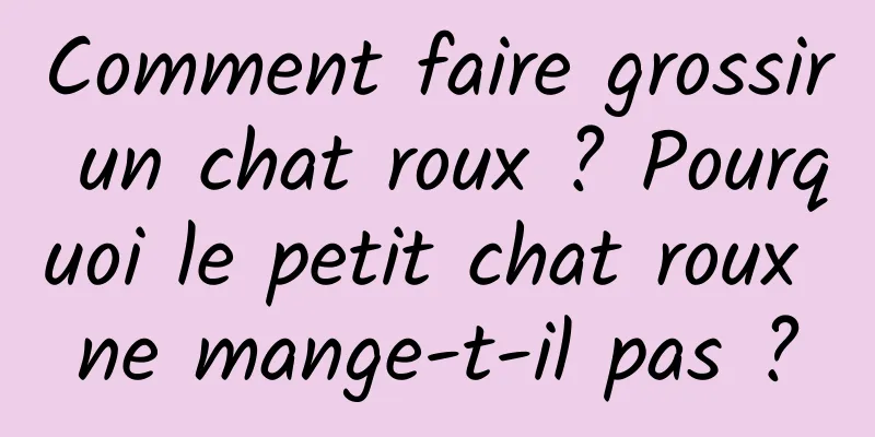 Comment faire grossir un chat roux ? Pourquoi le petit chat roux ne mange-t-il pas ?