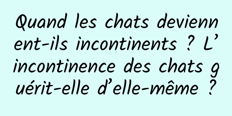 Quand les chats deviennent-ils incontinents ? L’incontinence des chats guérit-elle d’elle-même ?