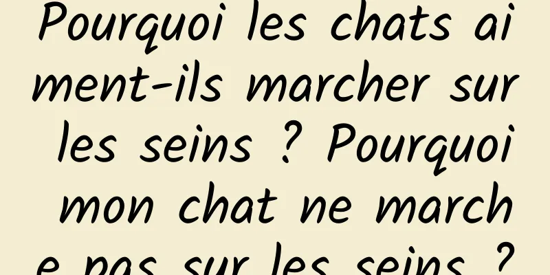 Pourquoi les chats aiment-ils marcher sur les seins ? Pourquoi mon chat ne marche pas sur les seins ?