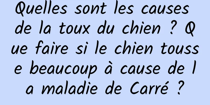 Quelles sont les causes de la toux du chien ? Que faire si le chien tousse beaucoup à cause de la maladie de Carré ?
