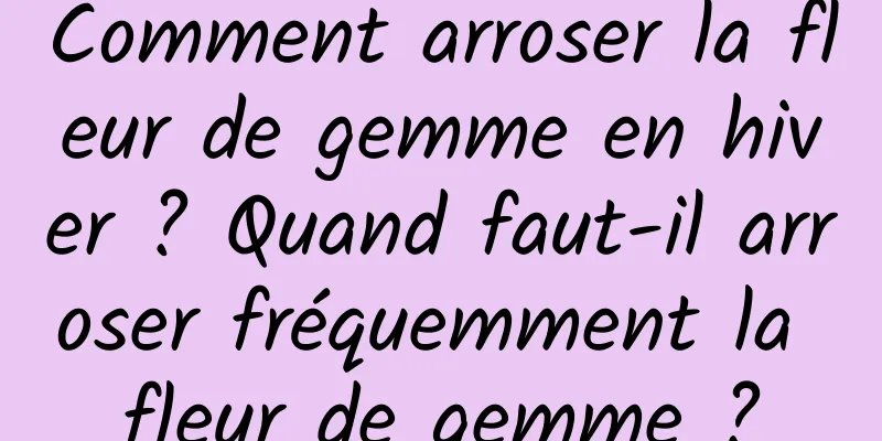 Comment arroser la fleur de gemme en hiver ? Quand faut-il arroser fréquemment la fleur de gemme ?