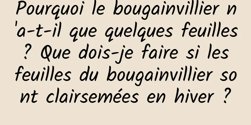Pourquoi le bougainvillier n'a-t-il que quelques feuilles ? Que dois-je faire si les feuilles du bougainvillier sont clairsemées en hiver ?