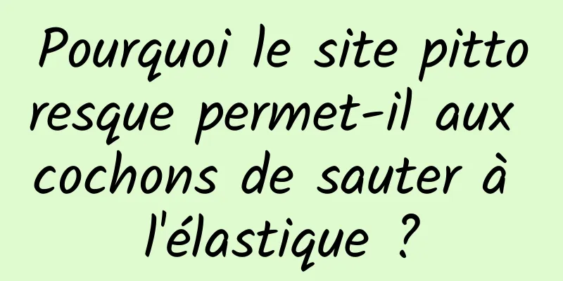 Pourquoi le site pittoresque permet-il aux cochons de sauter à l'élastique ?