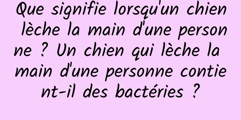 Que signifie lorsqu'un chien lèche la main d'une personne ? Un chien qui lèche la main d'une personne contient-il des bactéries ?
