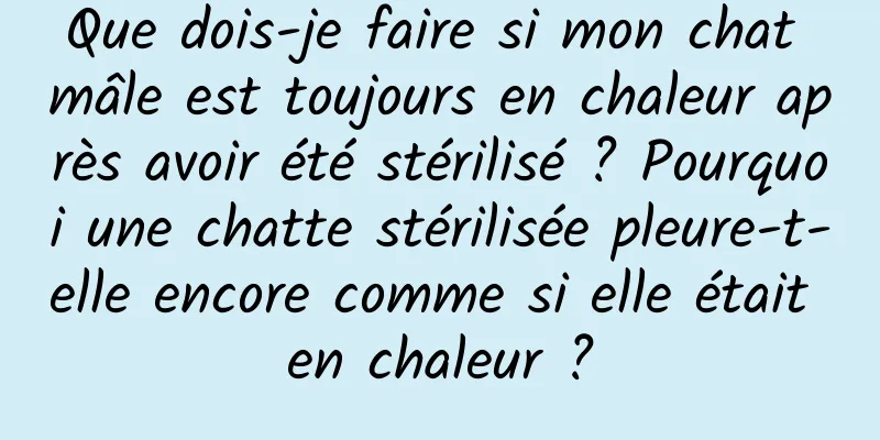 Que dois-je faire si mon chat mâle est toujours en chaleur après avoir été stérilisé ? Pourquoi une chatte stérilisée pleure-t-elle encore comme si elle était en chaleur ?