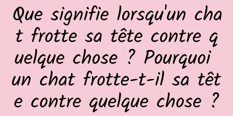 Que signifie lorsqu'un chat frotte sa tête contre quelque chose ? Pourquoi un chat frotte-t-il sa tête contre quelque chose ?