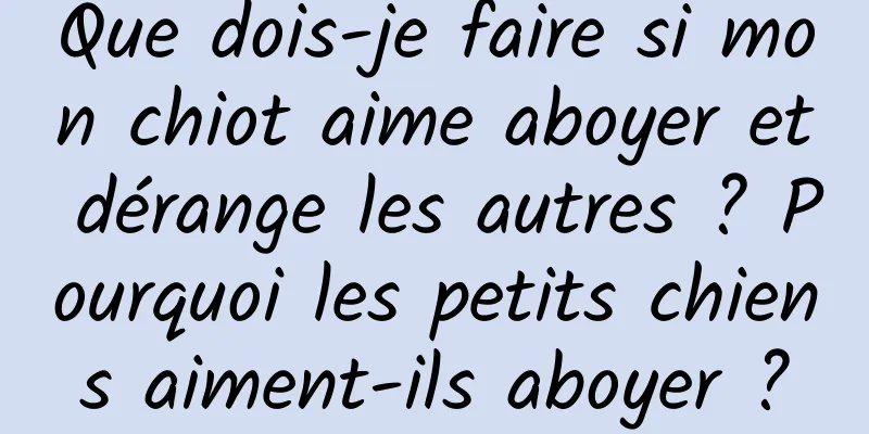 Que dois-je faire si mon chiot aime aboyer et dérange les autres ? Pourquoi les petits chiens aiment-ils aboyer ?
