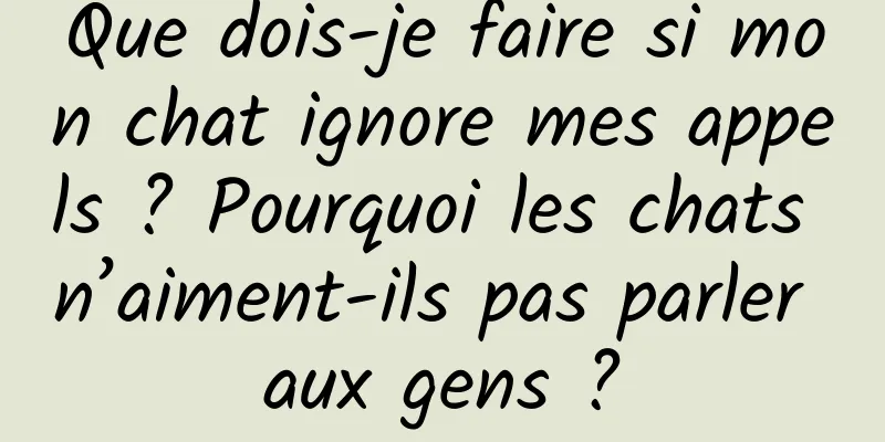 Que dois-je faire si mon chat ignore mes appels ? Pourquoi les chats n’aiment-ils pas parler aux gens ?
