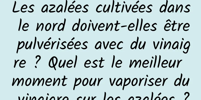 Les azalées cultivées dans le nord doivent-elles être pulvérisées avec du vinaigre ? Quel est le meilleur moment pour vaporiser du vinaigre sur les azalées ?