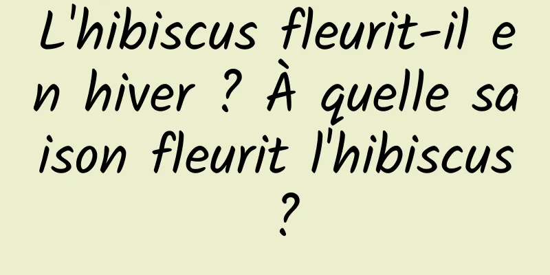 L'hibiscus fleurit-il en hiver ? À quelle saison fleurit l'hibiscus ?