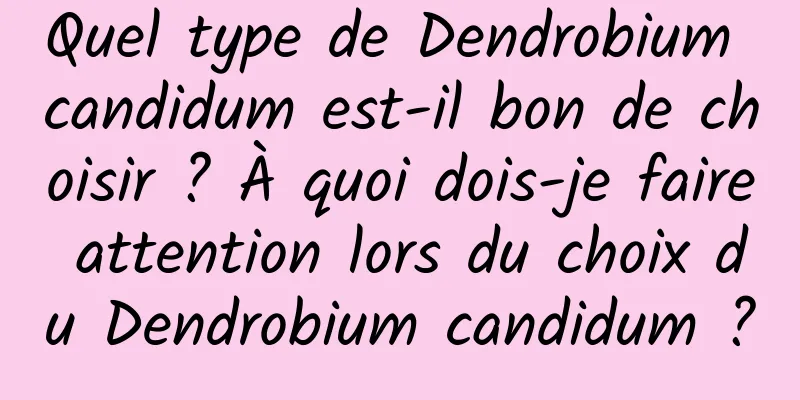 Quel type de Dendrobium candidum est-il bon de choisir ? À quoi dois-je faire attention lors du choix du Dendrobium candidum ?