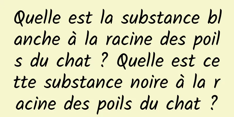 Quelle est la substance blanche à la racine des poils du chat ? Quelle est cette substance noire à la racine des poils du chat ?